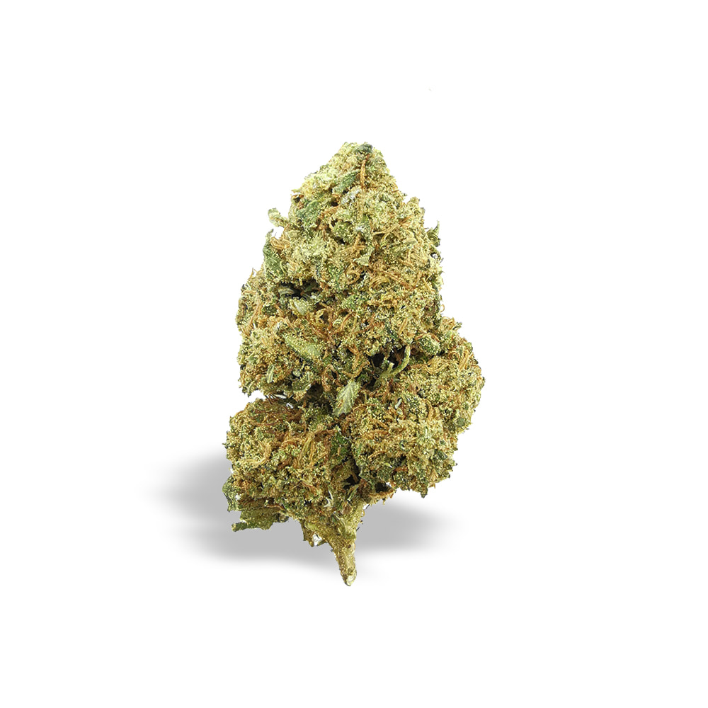 3 Semi di Cannabis da Collezione GORILLA GLUE